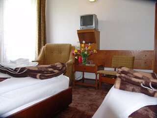Отель Hotel Hefaistos - Sovata Совата Двухместный номер с 2 отдельными кроватями-5